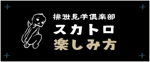 スカトロ遊び方